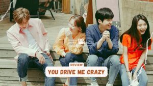 you drive me crazy