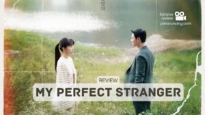 my perfect stranger