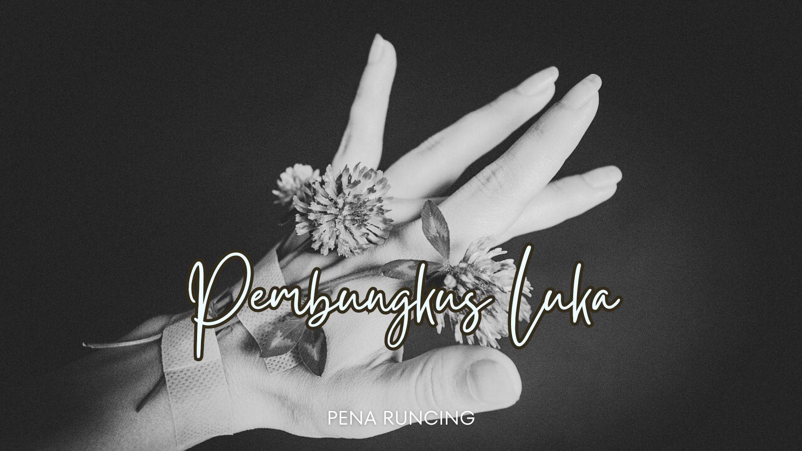 pembungkus luka