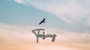 terbang